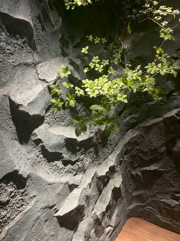 モルタル造形で仕上げた岩肌の壁